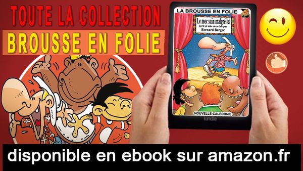 Ebooks Kindle La Brousse en Folie